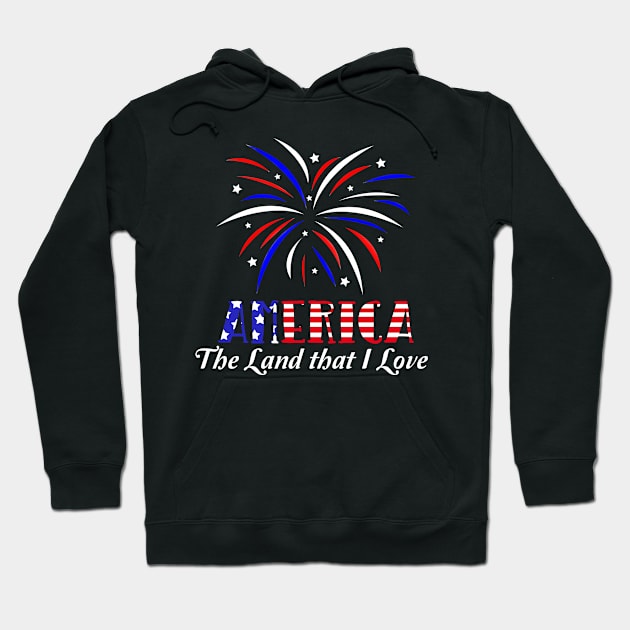 AMERICA Fourth of July Fireworks Hoodie by JessDesigns